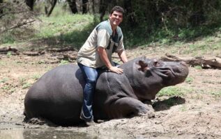 Playful: Marius Els with his pet hippo Humphrey at his farm in Free State, South Africa